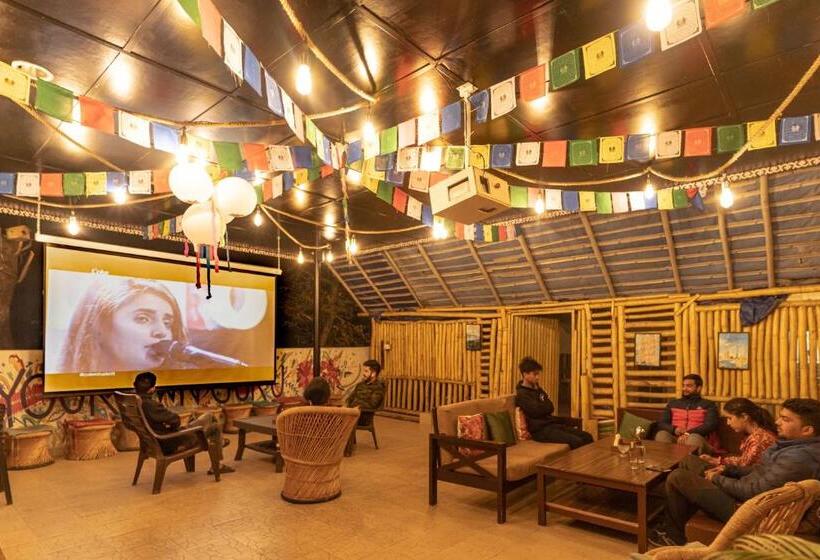 Общежитие The Trippy Tribe