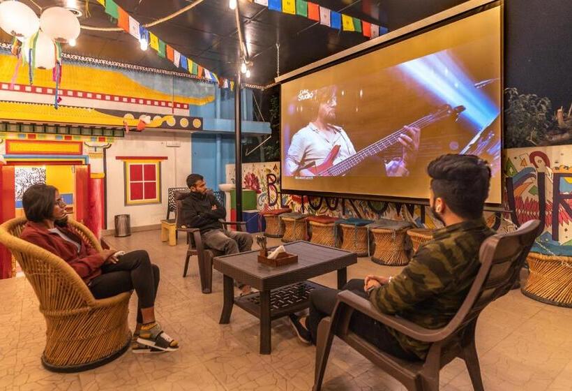 Общежитие The Trippy Tribe