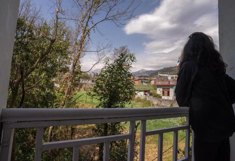 Общежитие The Trippy Tribe