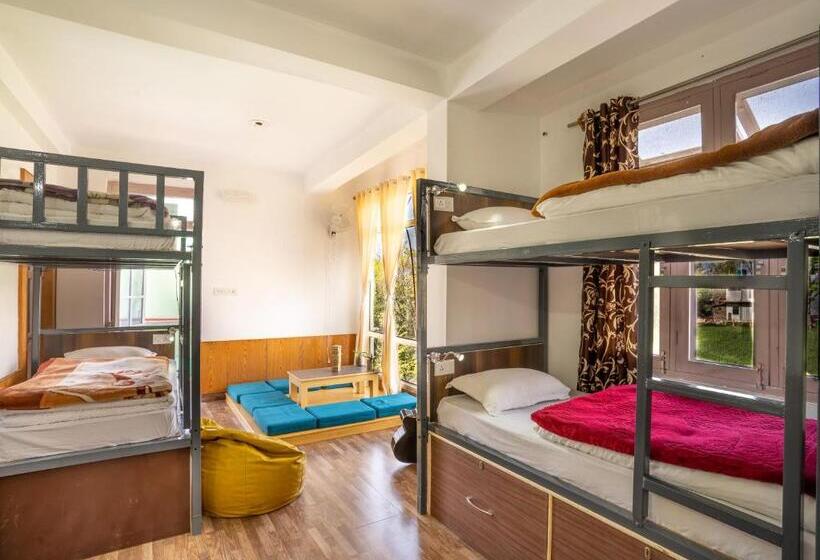 Общежитие The Trippy Tribe