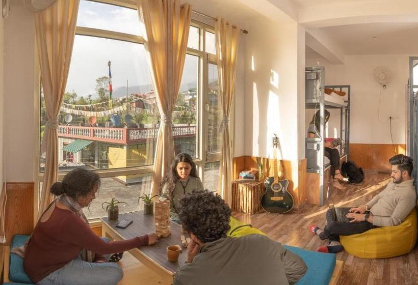 Общежитие The Trippy Tribe