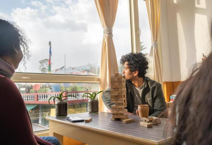 Общежитие The Trippy Tribe