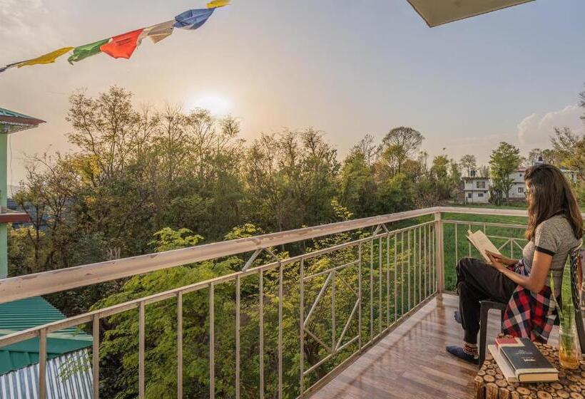 Общежитие The Trippy Tribe