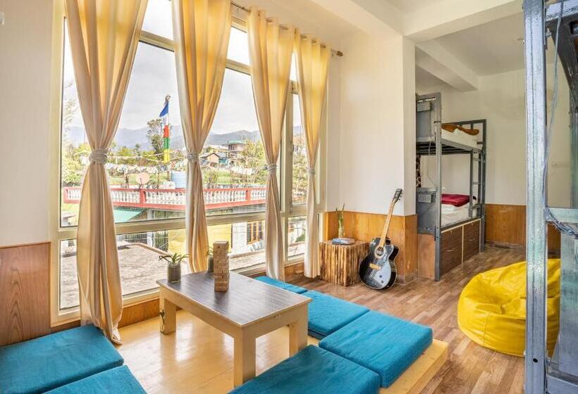 Общежитие The Trippy Tribe