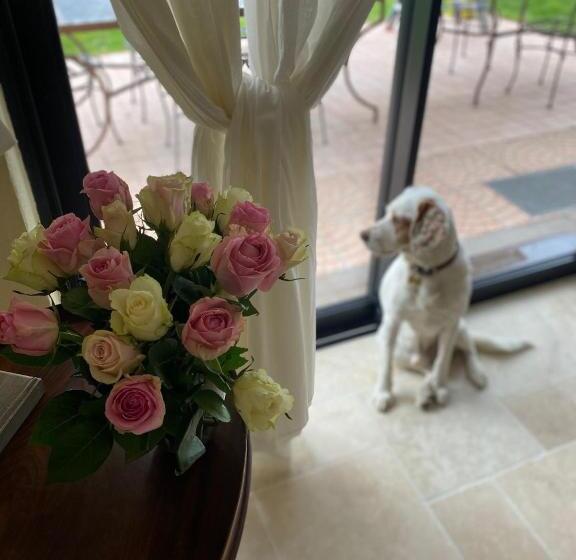 צימר Aux Coteaux D Aussac