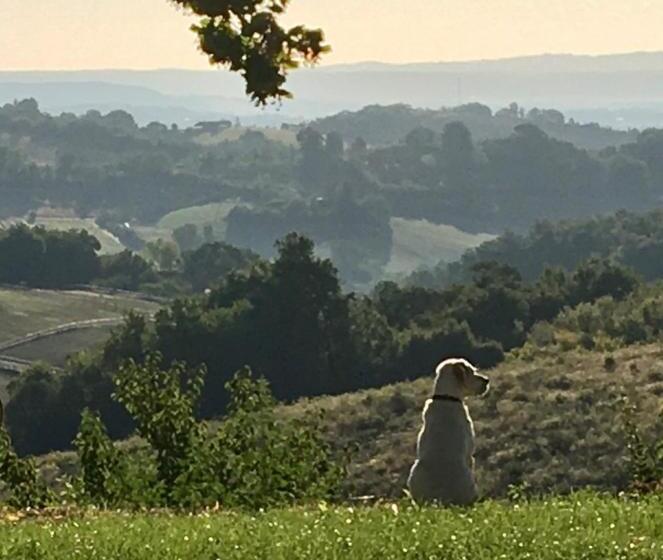 צימר Aux Coteaux D Aussac
