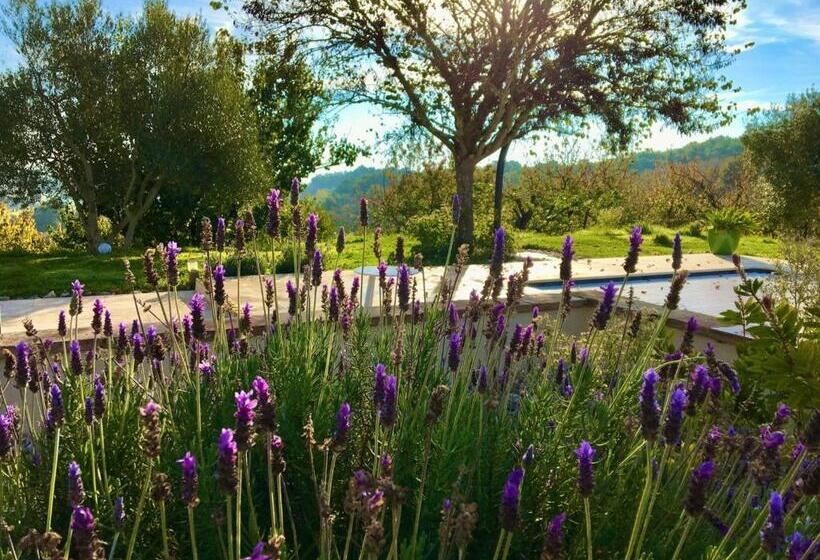 צימר Aux Coteaux D Aussac