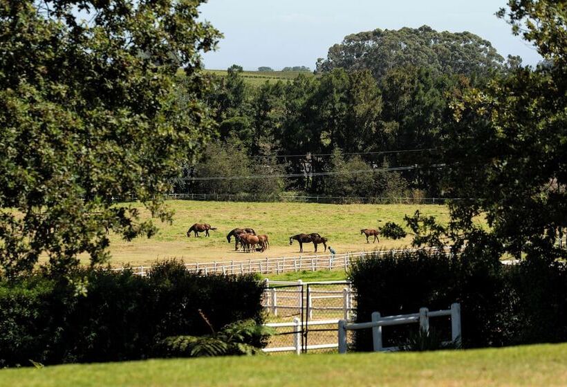 住宿加早餐  Avontuur Manor House And Wine Estate