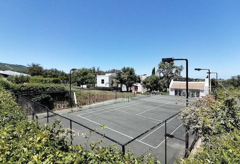 住宿加早餐  Avontuur Manor House And Wine Estate