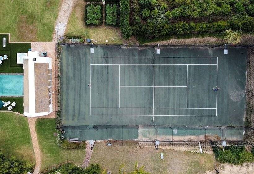 住宿加早餐  Avontuur Manor House And Wine Estate