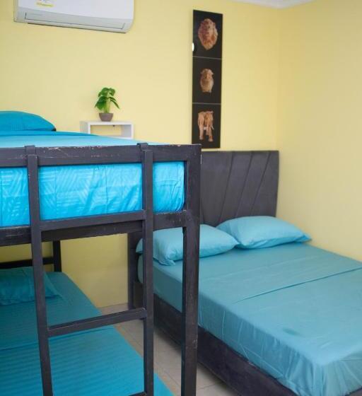 مبيت وإفطار Comfort House