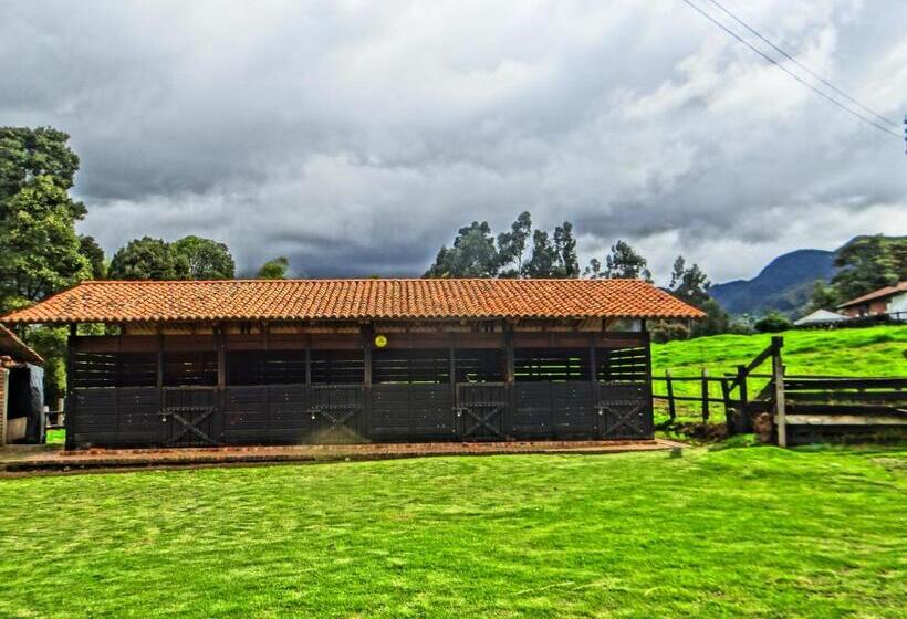 ベッドアンドブレックファースト La Isabela Estancia Ecuestre