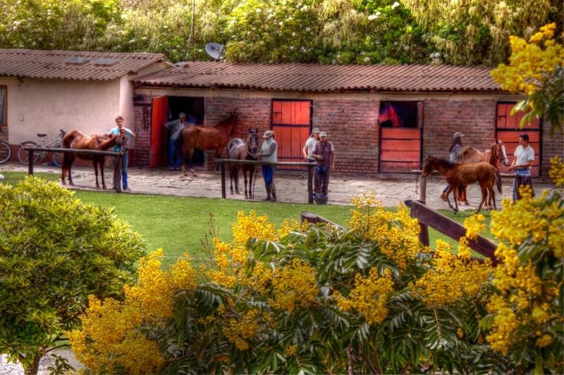 مبيت وإفطار La Isabela Estancia Ecuestre