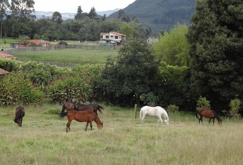 مبيت وإفطار La Isabela Estancia Ecuestre