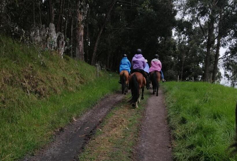 ベッドアンドブレックファースト La Isabela Estancia Ecuestre