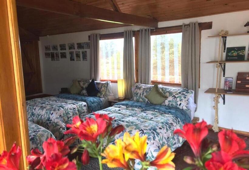 ベッドアンドブレックファースト La Isabela Estancia Ecuestre