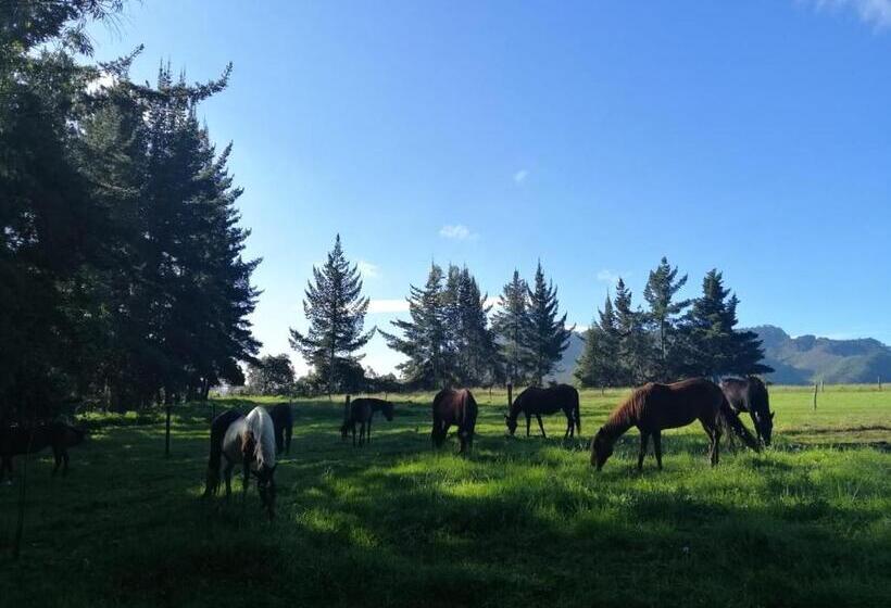 ベッドアンドブレックファースト La Isabela Estancia Ecuestre