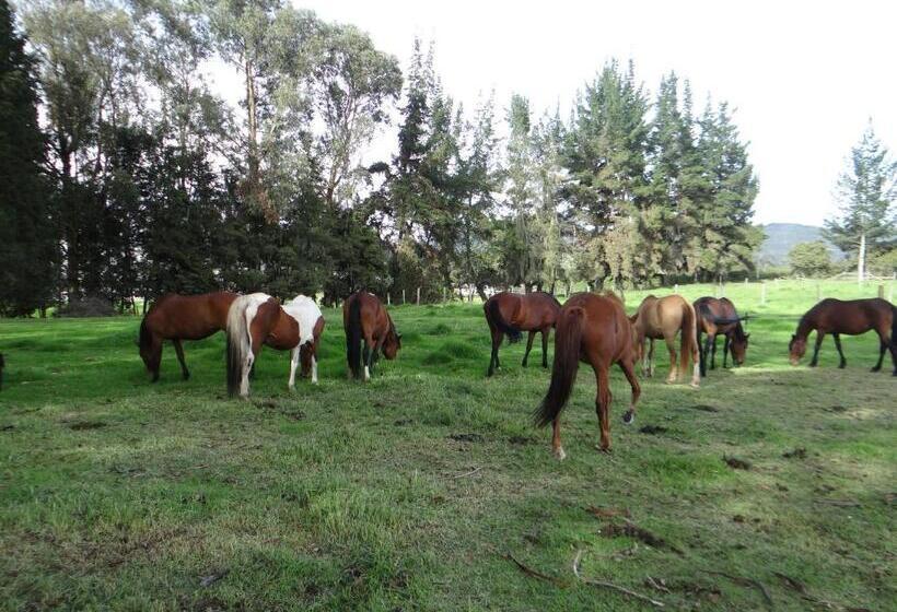 مبيت وإفطار La Isabela Estancia Ecuestre