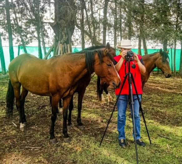 مبيت وإفطار La Isabela Estancia Ecuestre
