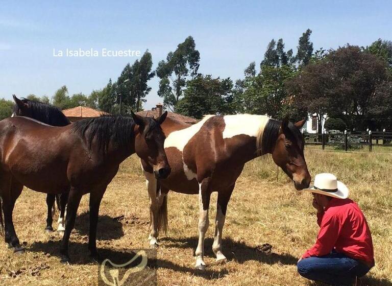 ベッドアンドブレックファースト La Isabela Estancia Ecuestre