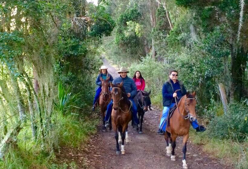 مبيت وإفطار La Isabela Estancia Ecuestre