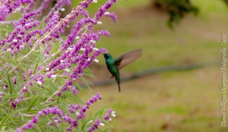 ベッドアンドブレックファースト La Isabela Estancia Ecuestre