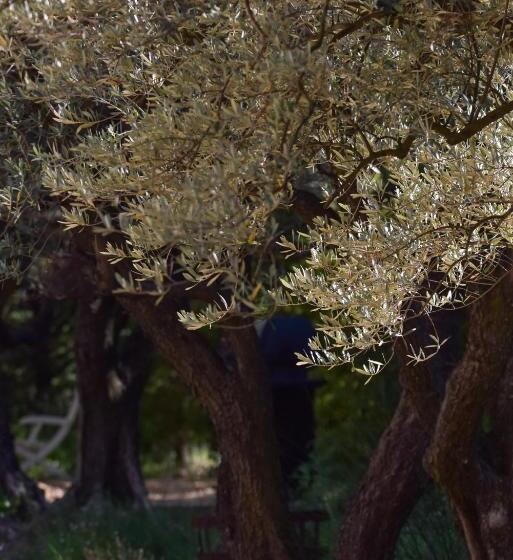 ベッドアンドブレックファースト Le Mas Carré Séguret