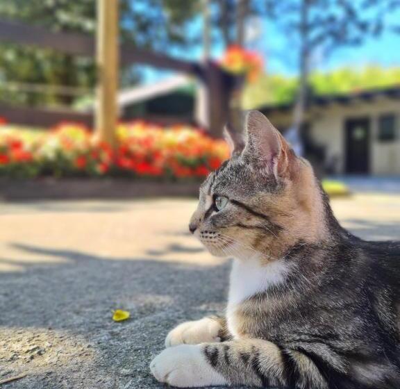 هتل Agroturismo Anziola