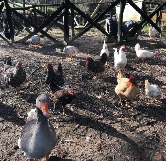 Отель Agroturismo Anziola