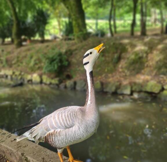 هتل Agroturismo Anziola