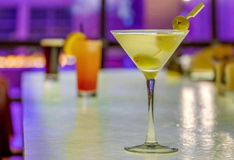 Cambria Hotel Rock Hill   University Center