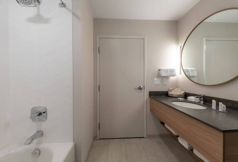 בית מלון כפרי Fairfield By Marriott Inn & Suites Revelstoke