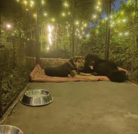 酒店 H7stay Luxury Cottages And Camps, Rishikesh