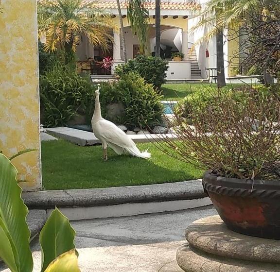 בית מלון כפרי Hc Canarios Resort Spa