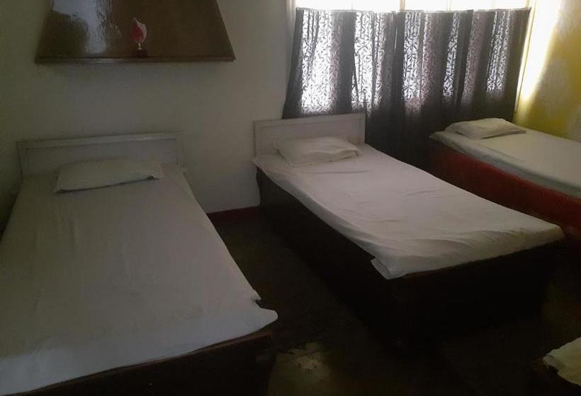 בית מלון כפרי International