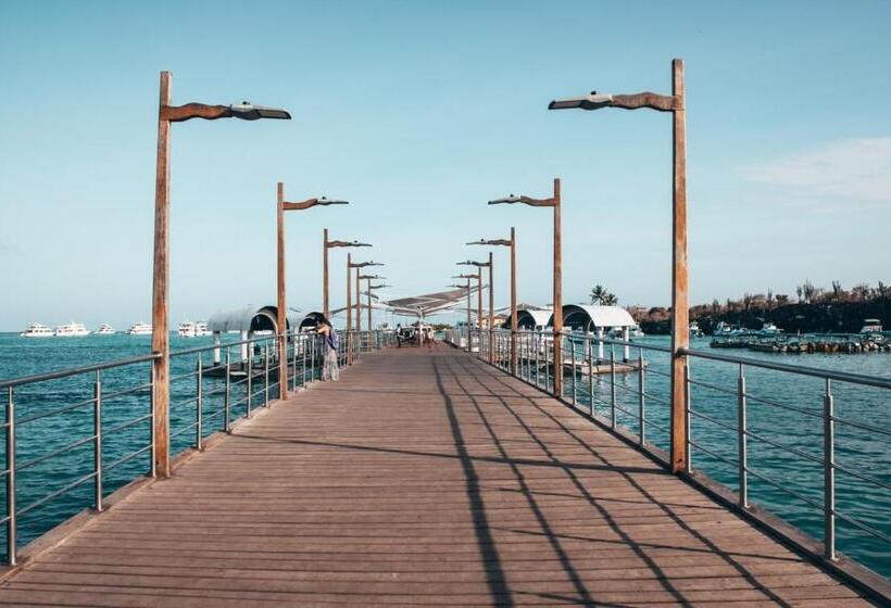 בית מלון כפרי Las Ninfas