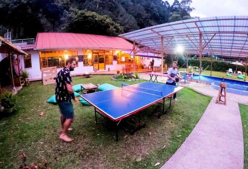 호텔 Mama Tungu Hostel