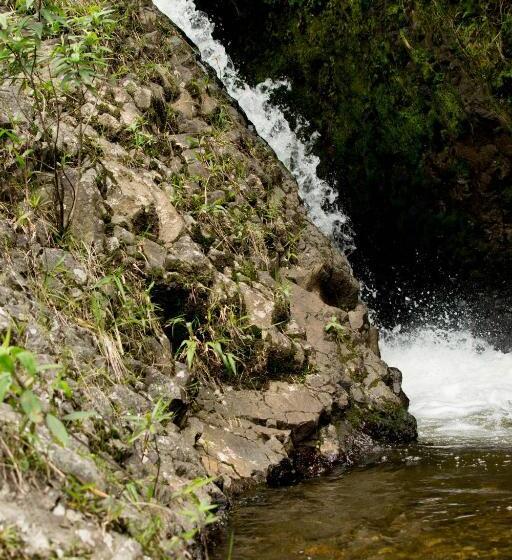 호텔 Mama Tungu Hostel