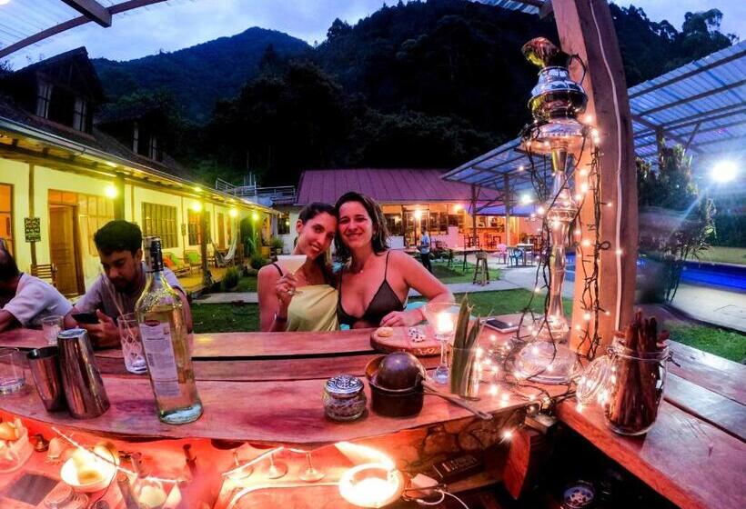 호텔 Mama Tungu Hostel