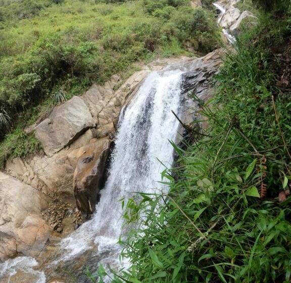호텔 Mama Tungu Hostel