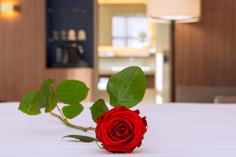 Radisson Blu Hotel, Rouen Centre