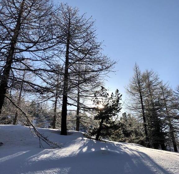 호텔 Rifugio Baita Gimont