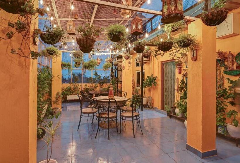 בית מלון כפרי Sethi Legacy