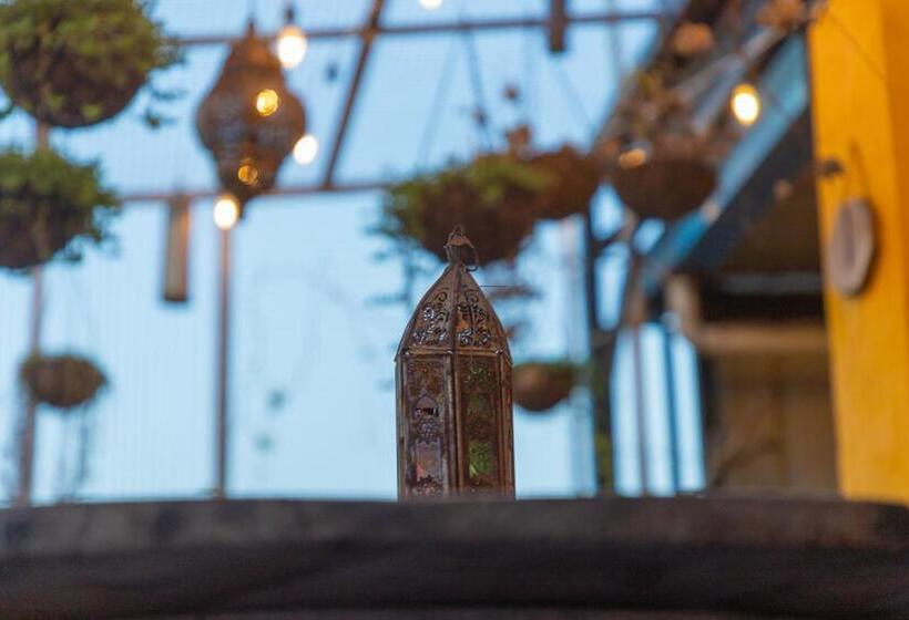 בית מלון כפרי Sethi Legacy