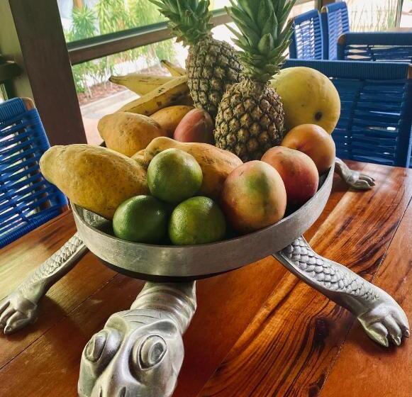 בית מלון כפרי The Madalena Pousada