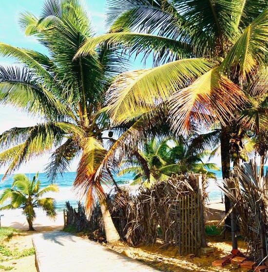 בית מלון כפרי The Madalena Pousada