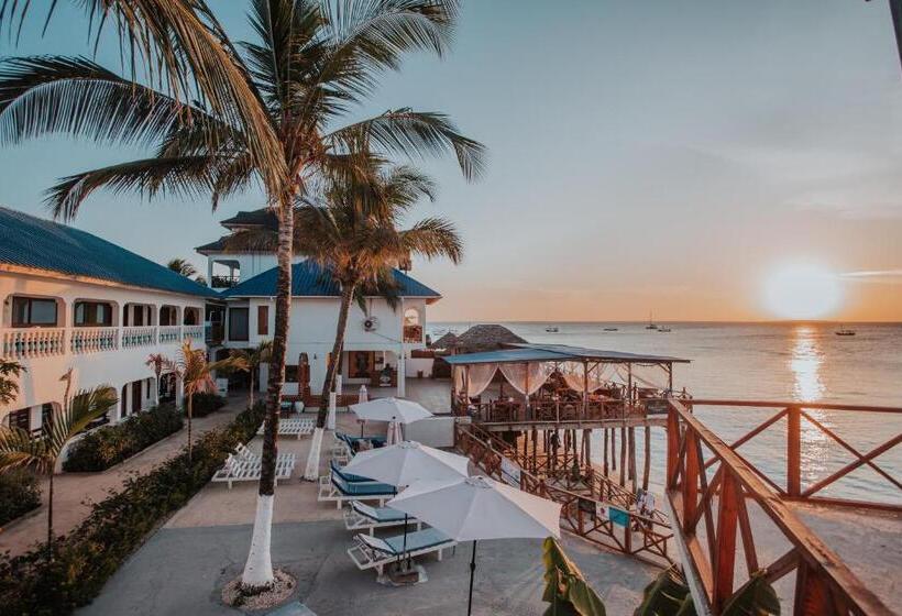 Отель Zenobia Beach Resort