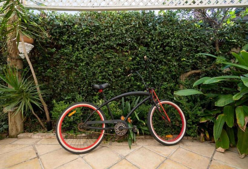 Manly Waves Studios & Apartments