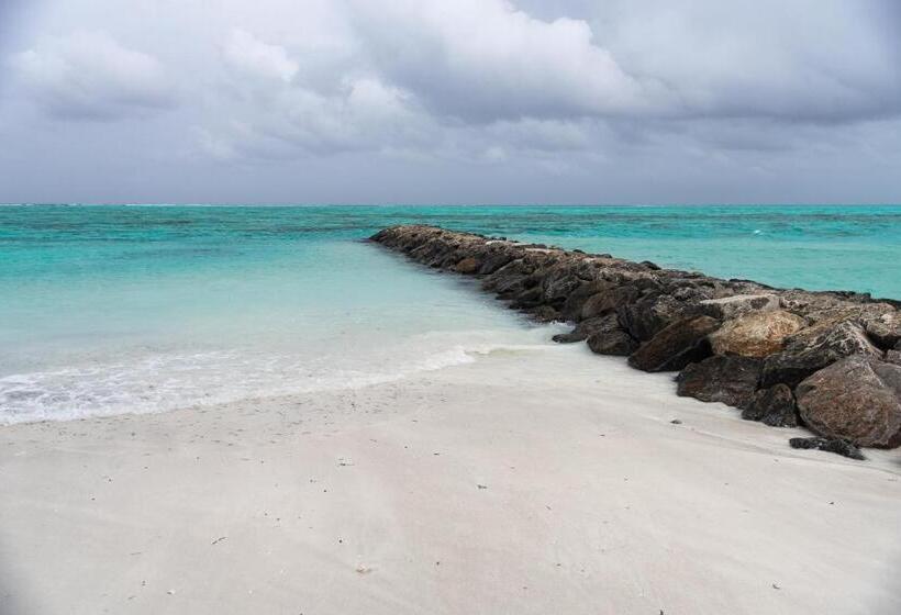 پانسیون Chao Guest House