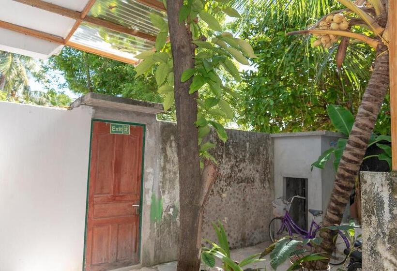 پانسیون Chao Guest House